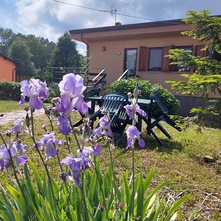 Chalet Grazia Valgiano Εξωτερικό φωτογραφία