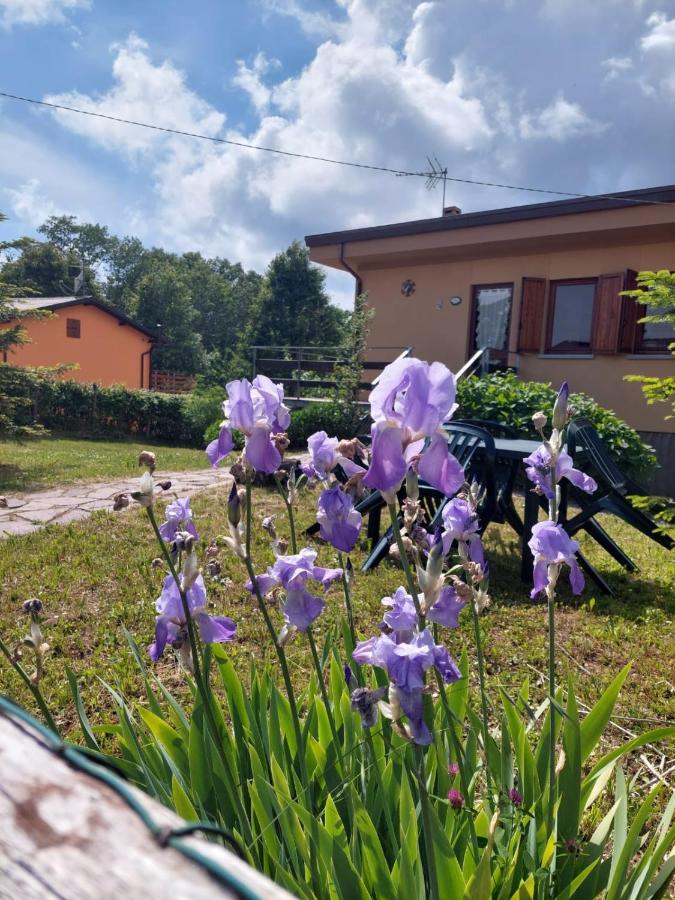 Chalet Grazia Valgiano Εξωτερικό φωτογραφία