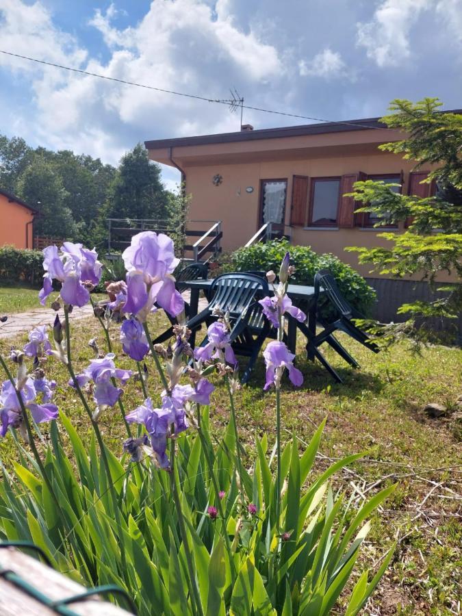 Chalet Grazia Valgiano Εξωτερικό φωτογραφία